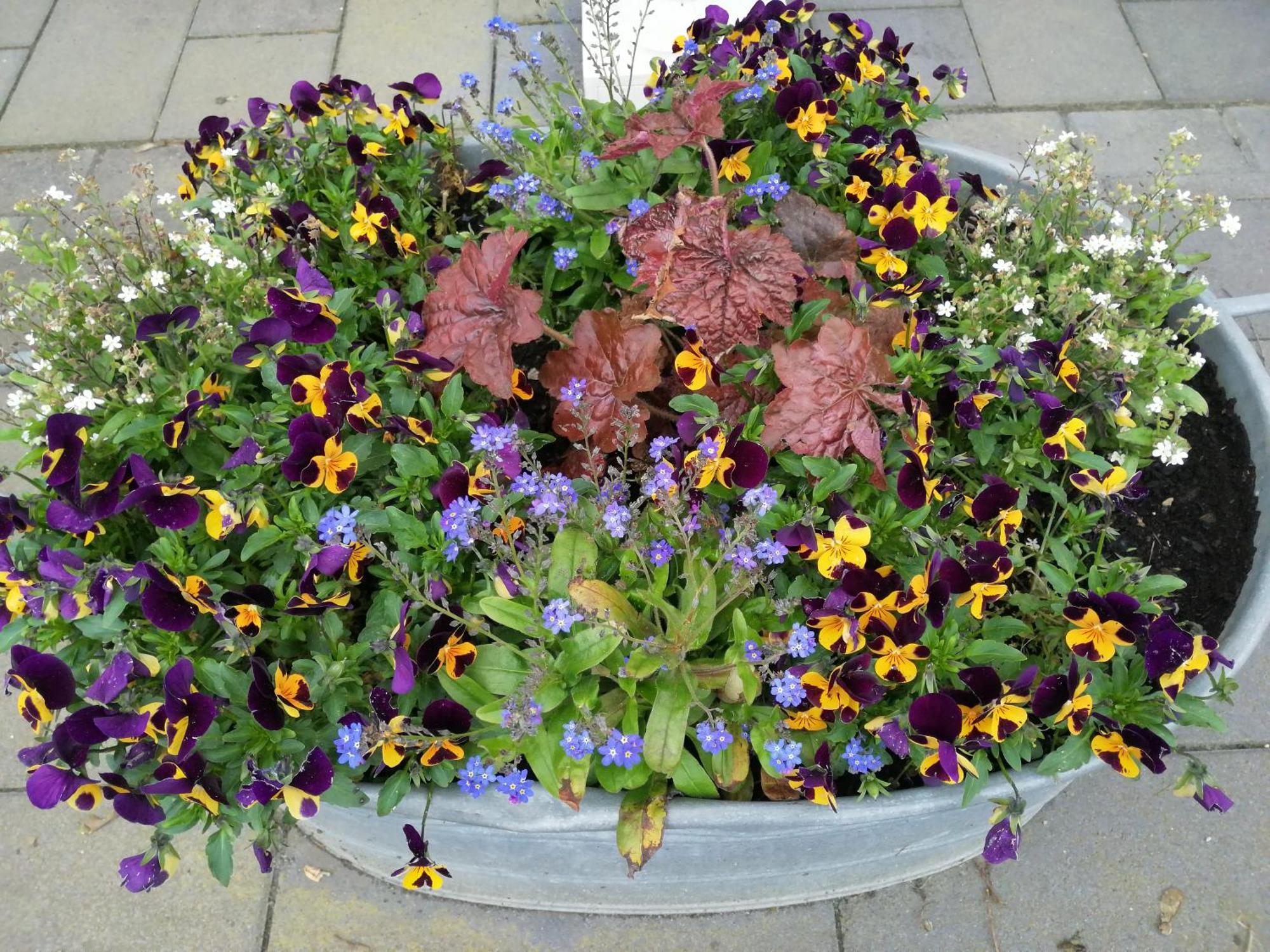 Ferienwohnung Blumenparadies Nettersheim Екстериор снимка